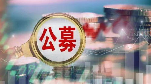 尷尬流拍 公募基金股權“香餑餑”為何沒人啃？